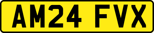 AM24FVX