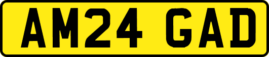 AM24GAD