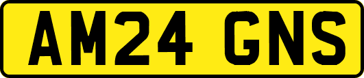 AM24GNS