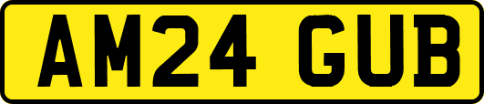 AM24GUB