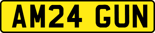 AM24GUN