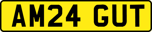 AM24GUT
