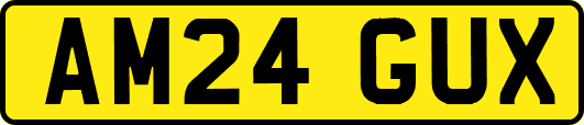 AM24GUX