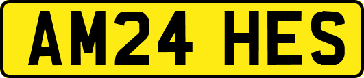AM24HES
