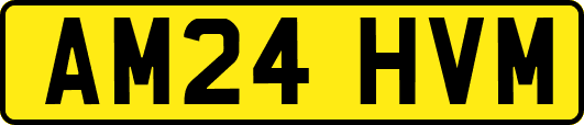 AM24HVM