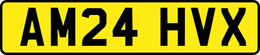 AM24HVX