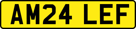 AM24LEF