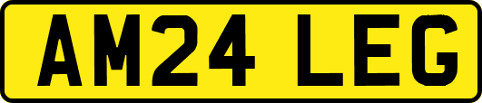 AM24LEG