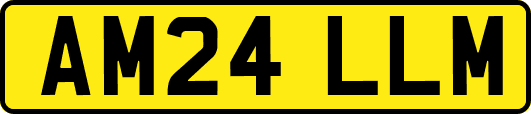 AM24LLM