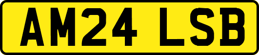 AM24LSB
