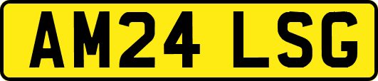 AM24LSG