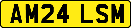 AM24LSM