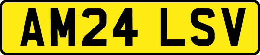 AM24LSV