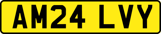 AM24LVY