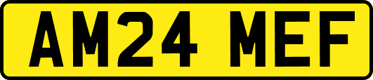 AM24MEF
