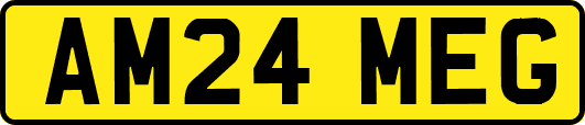 AM24MEG