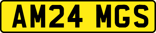 AM24MGS
