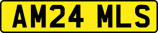 AM24MLS
