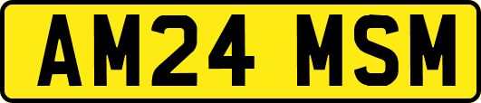 AM24MSM