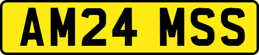 AM24MSS