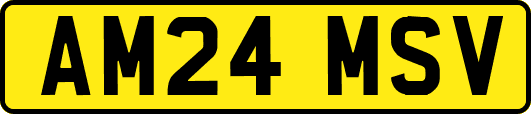 AM24MSV