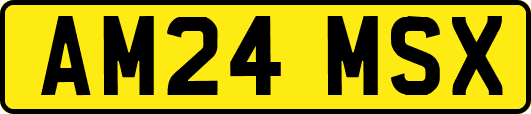 AM24MSX