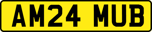 AM24MUB
