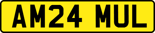 AM24MUL