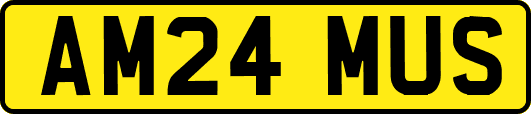 AM24MUS