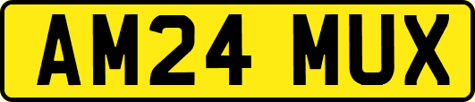 AM24MUX