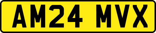 AM24MVX