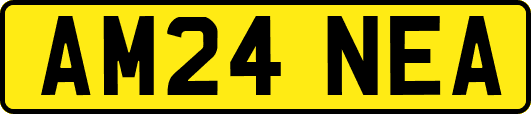AM24NEA
