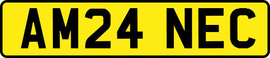AM24NEC