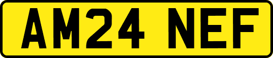 AM24NEF