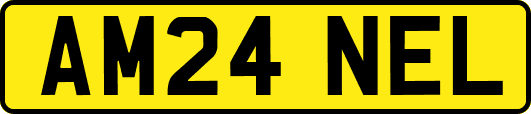 AM24NEL