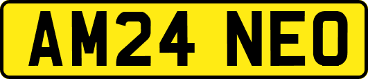 AM24NEO