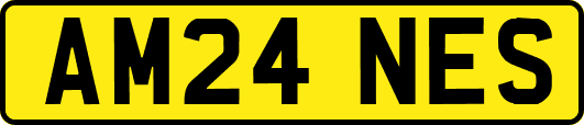 AM24NES
