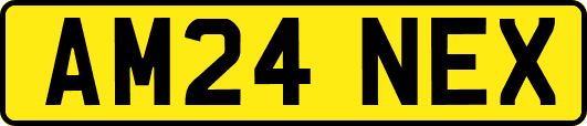 AM24NEX