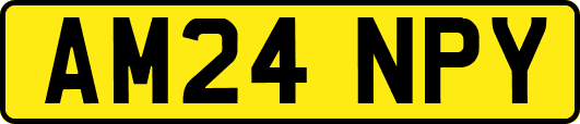 AM24NPY