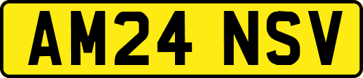 AM24NSV