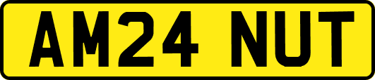 AM24NUT