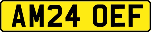 AM24OEF