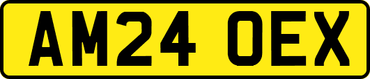 AM24OEX