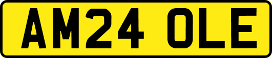 AM24OLE