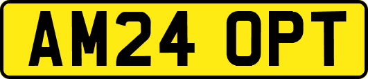 AM24OPT