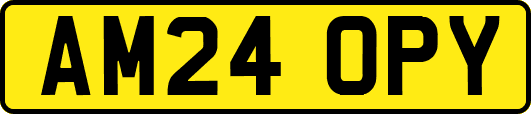 AM24OPY