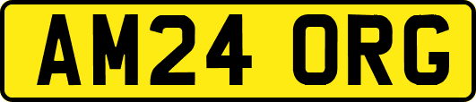 AM24ORG