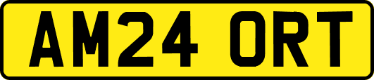 AM24ORT
