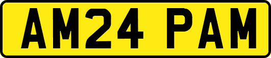 AM24PAM