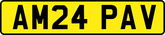AM24PAV